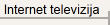 Internet televizija